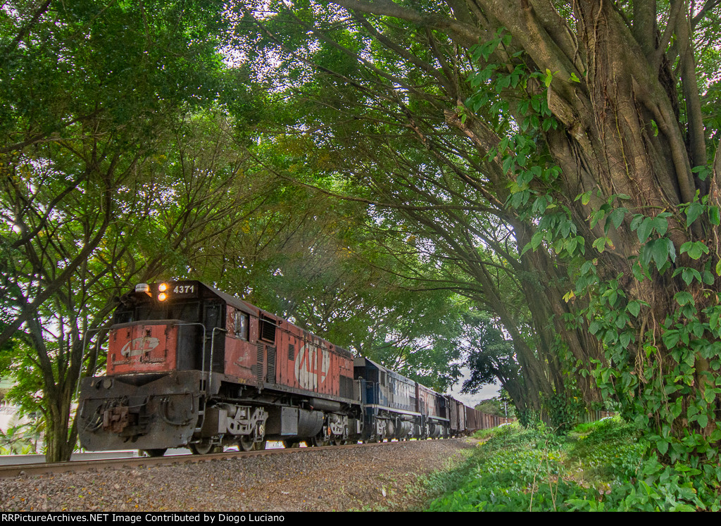 Linha São Francisco do Sul - km33 - 15/08/2023 at Joinville , SC